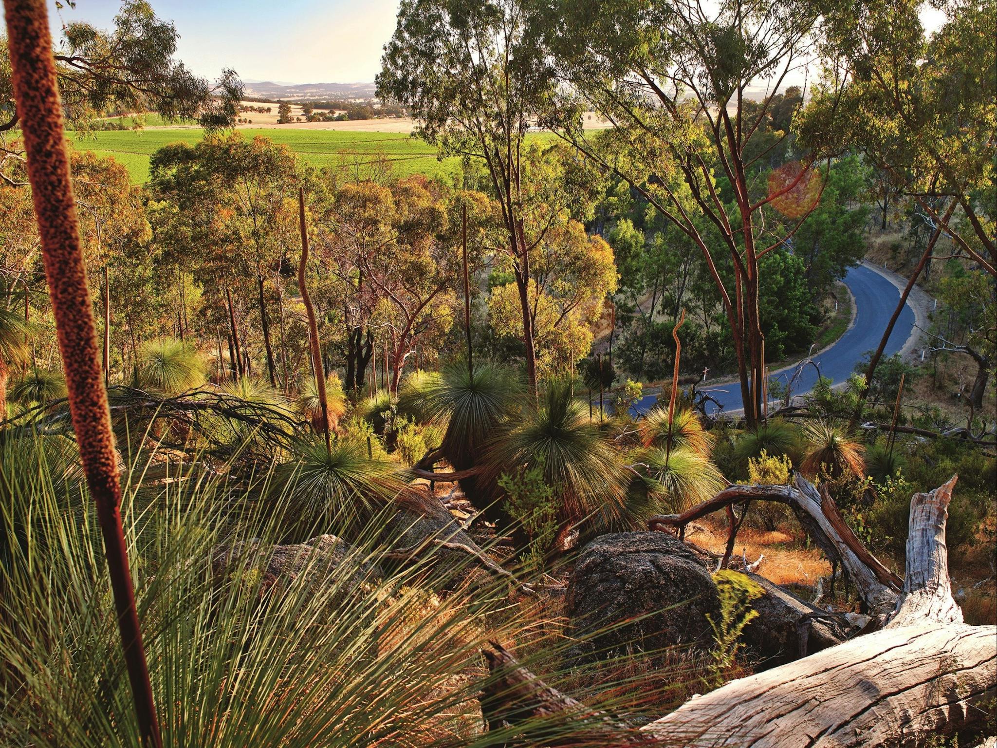 View from the Warby Ovens National Park