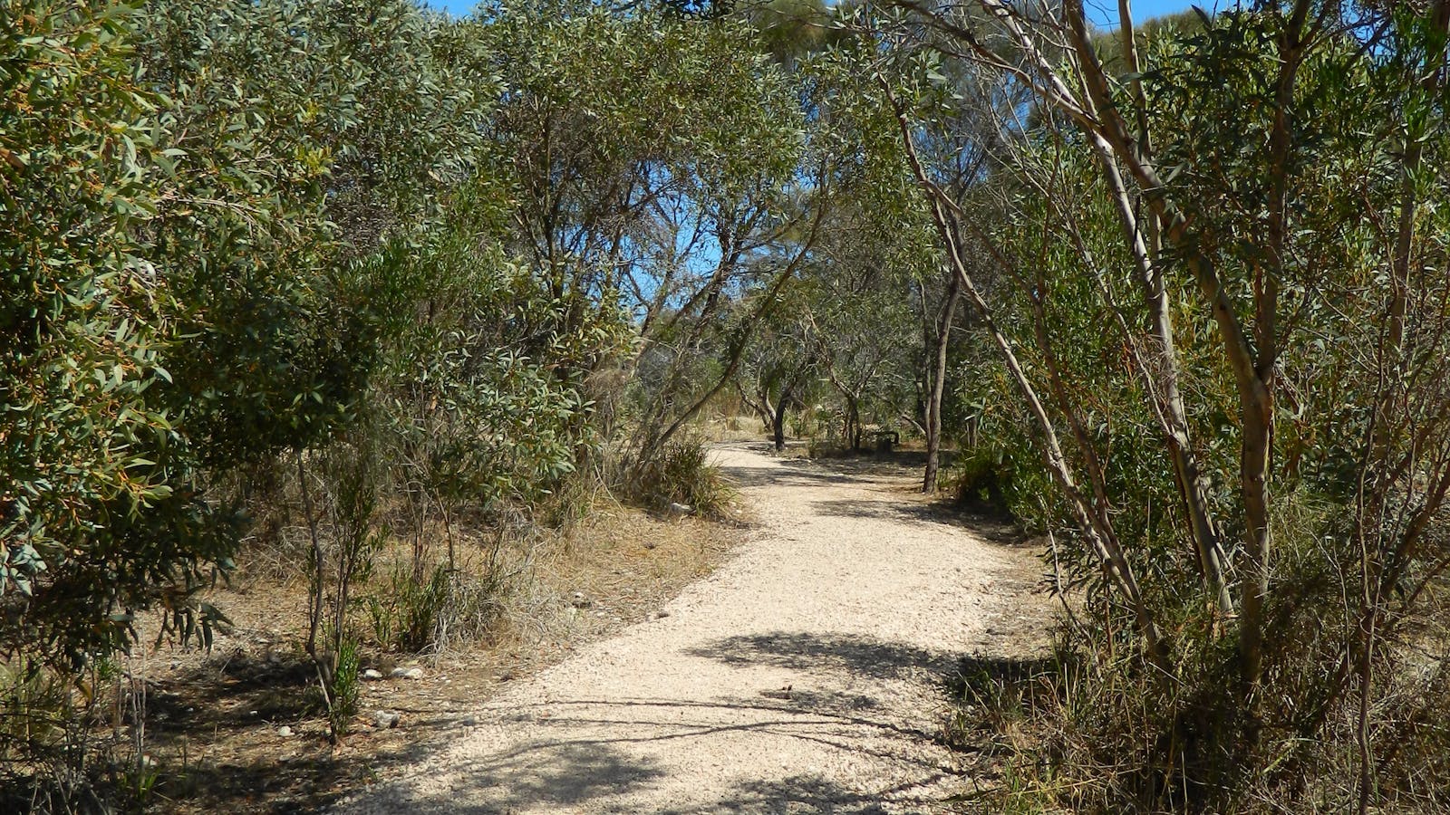 Meningie Lions Walking Trail