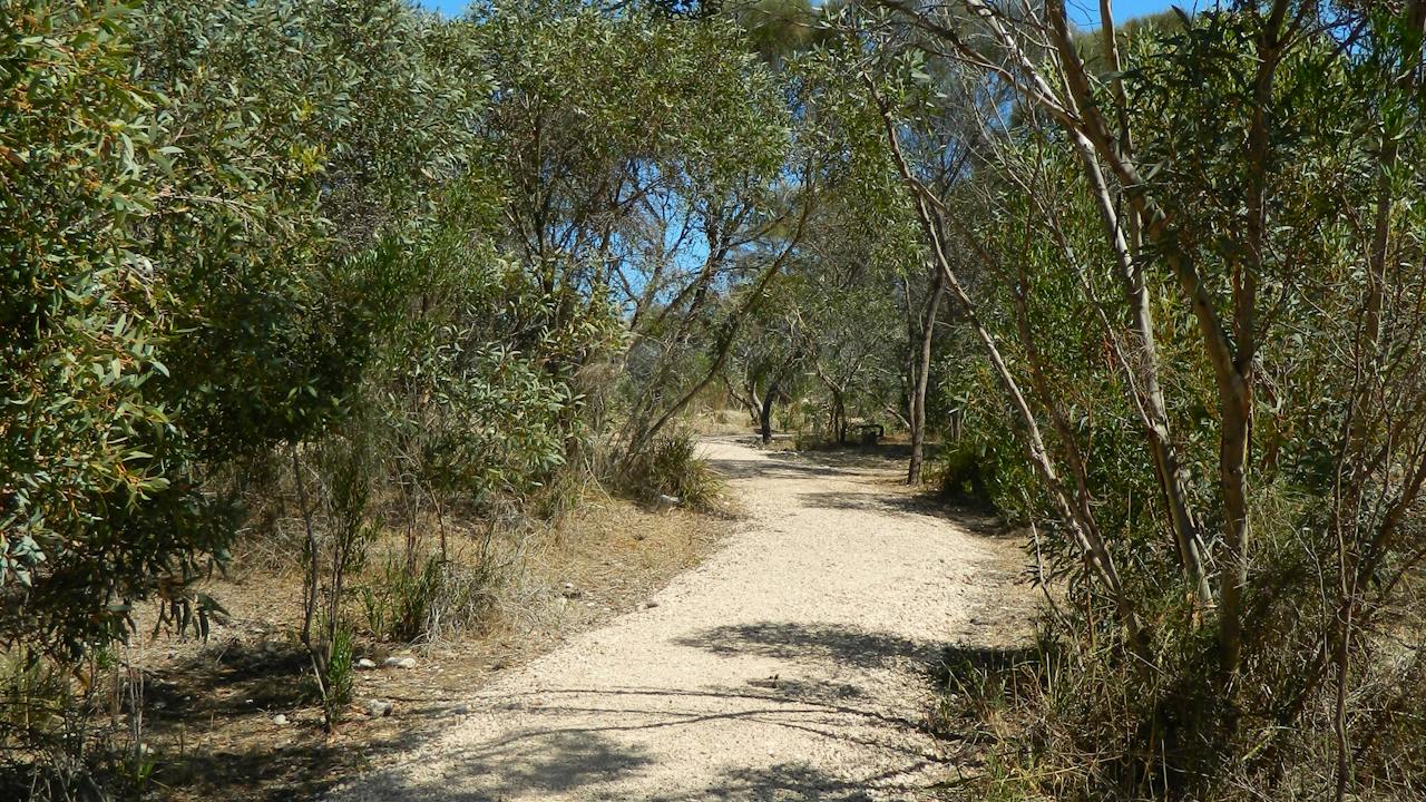 Meningie Lions Walking Trail