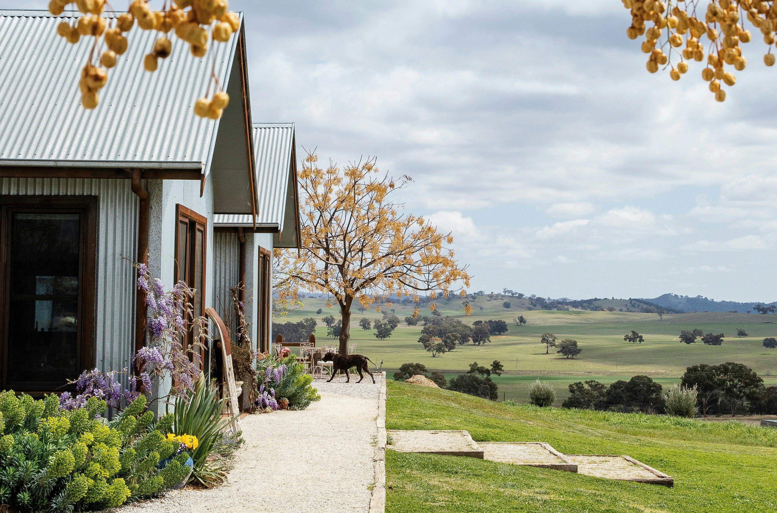 The Zin House NSW Holidays & Things to Do, Attractions