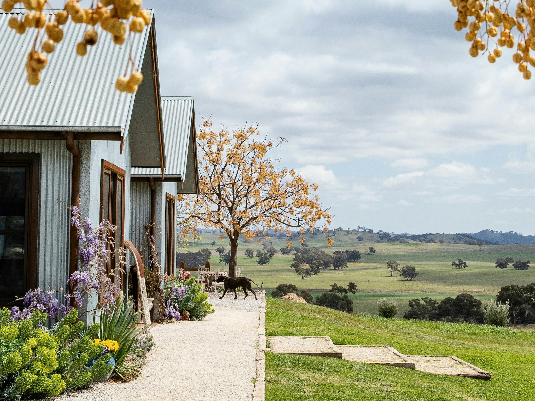 The Zin House | NSW Holidays & Accommodation, Things to Do, Attractions and Events