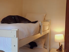 Bunk bedroom with timber details at 1856 Cottage accommodation in Robe South Australia
