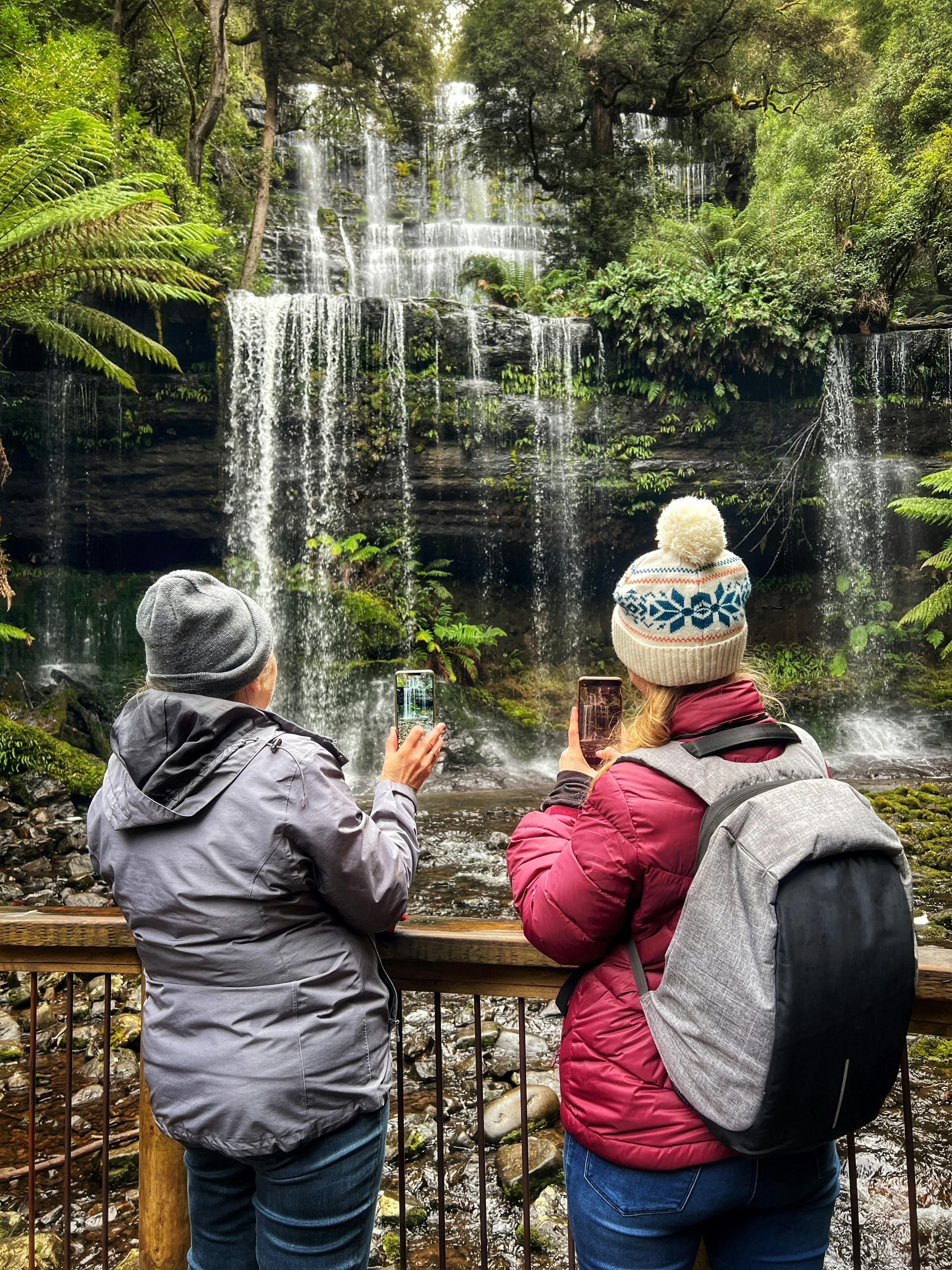 Immerse yourself in wilderness and waterfalls on this amazing tour of Mt Field National Park