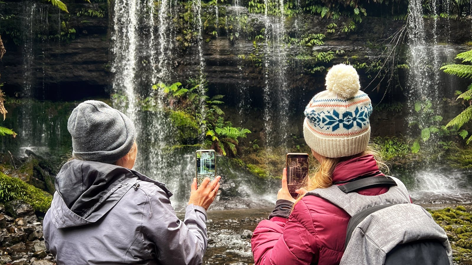 Immerse yourself in wilderness and waterfalls on this amazing tour of Mt Field National Park