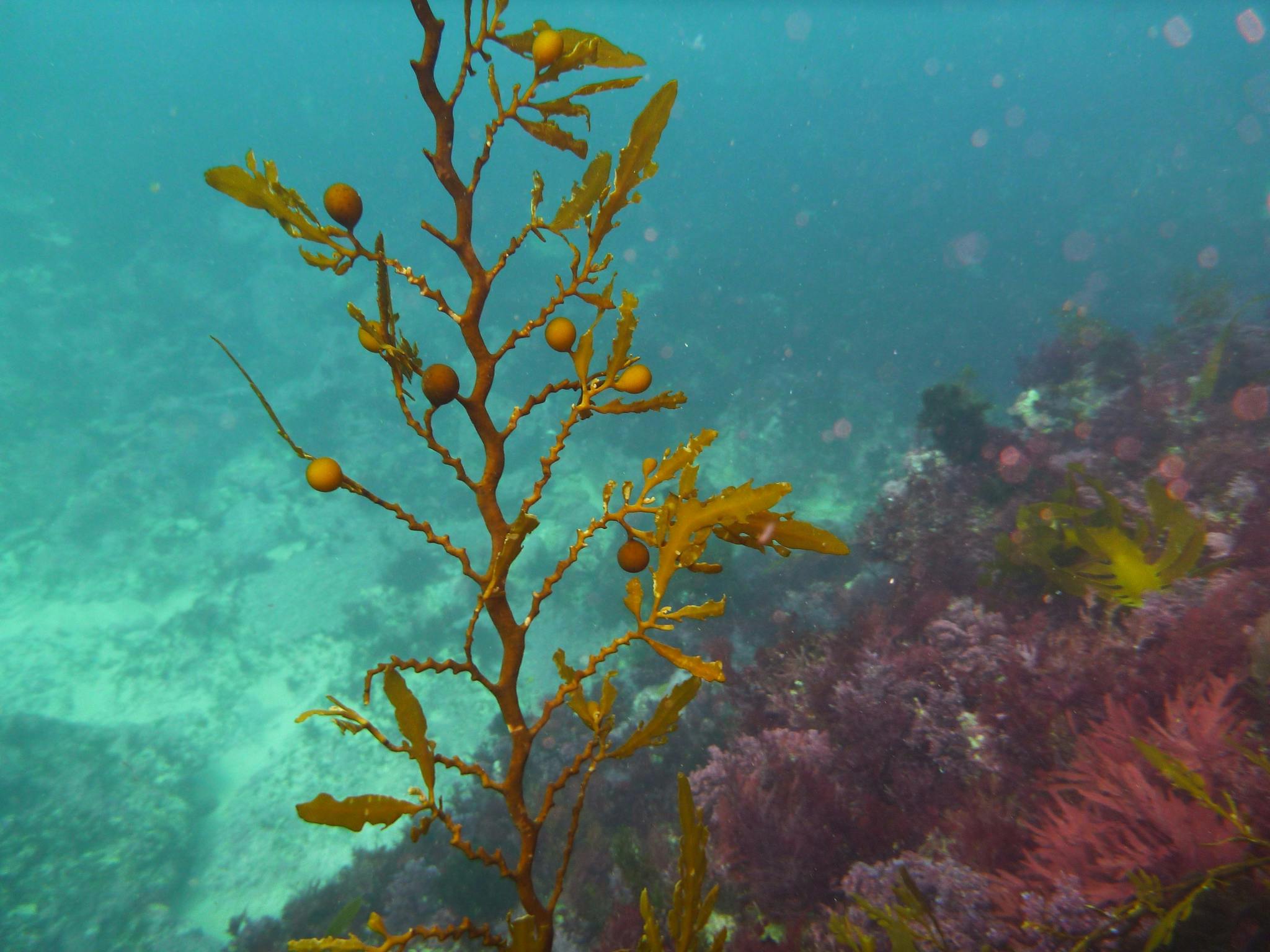 Twelve Apostles Marine National Park