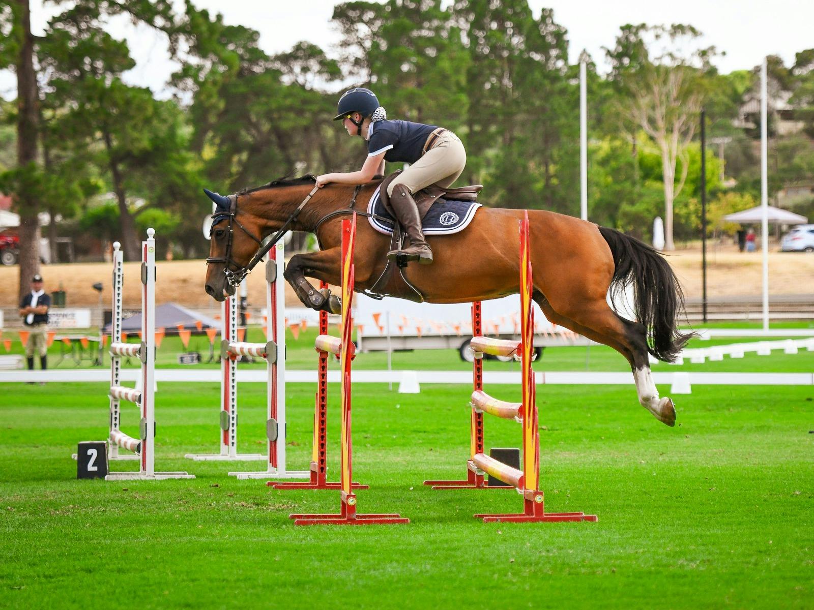 Horse and rider clear a jump during Horses in Action at the Angaston Show.