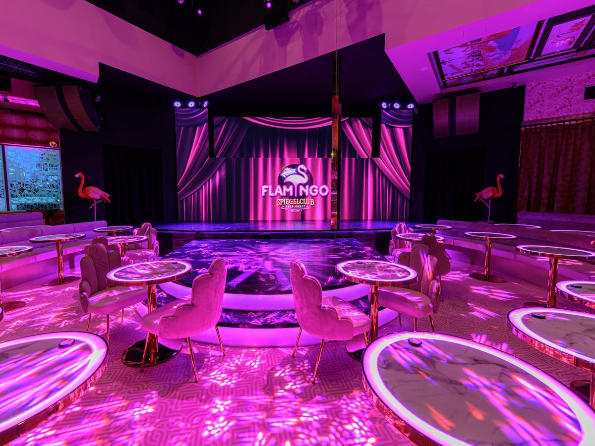 The Pink Flamingo Gold Coast Queensland