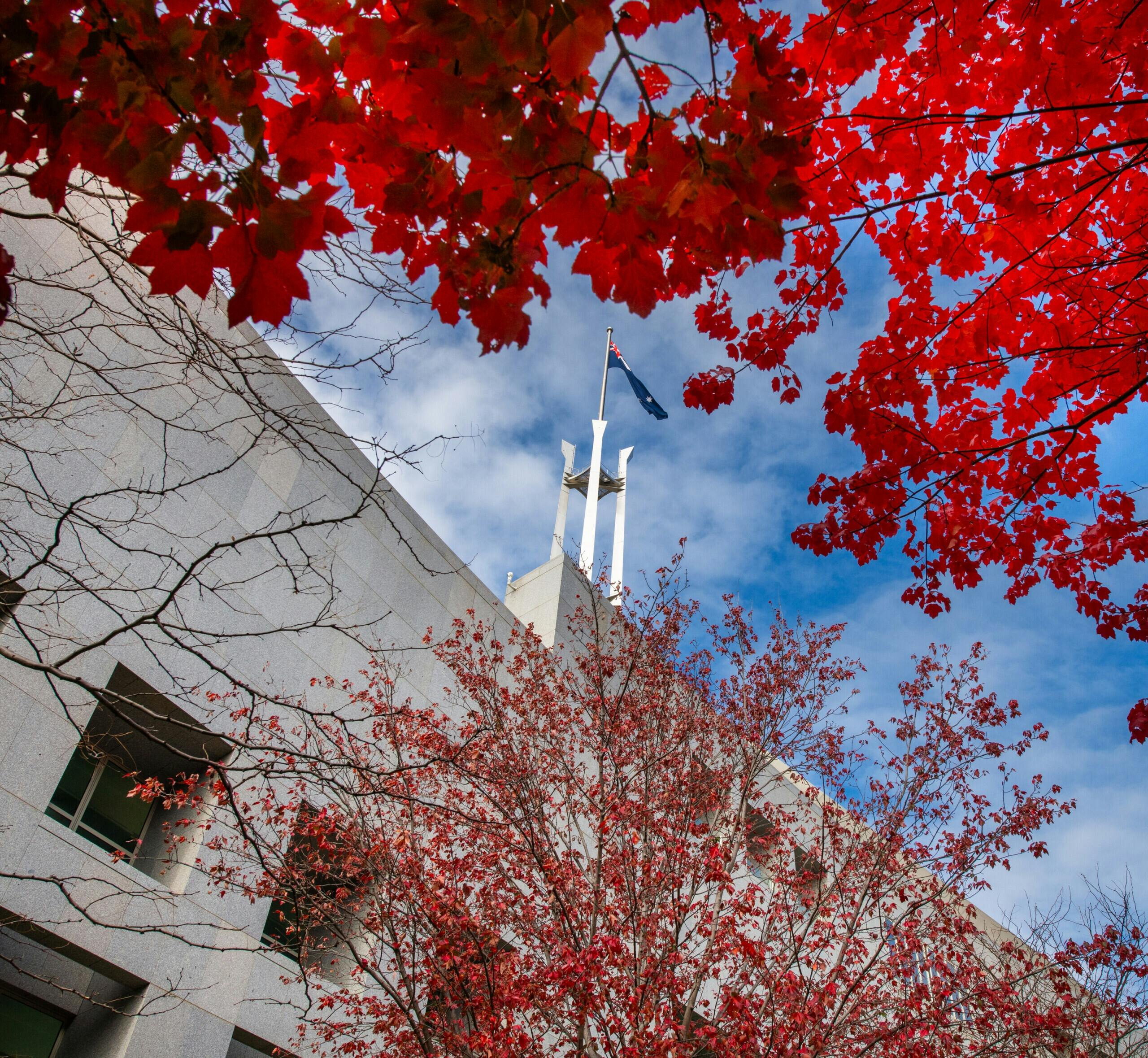 Looking up at the Australian Parliament House flag pole, red autumn flags frame the shot