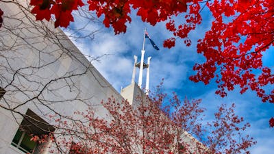 Looking up at the Australian Parliament House flag pole, red autumn flags frame the shot
