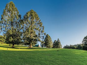 Bunya Mountains Getaway
