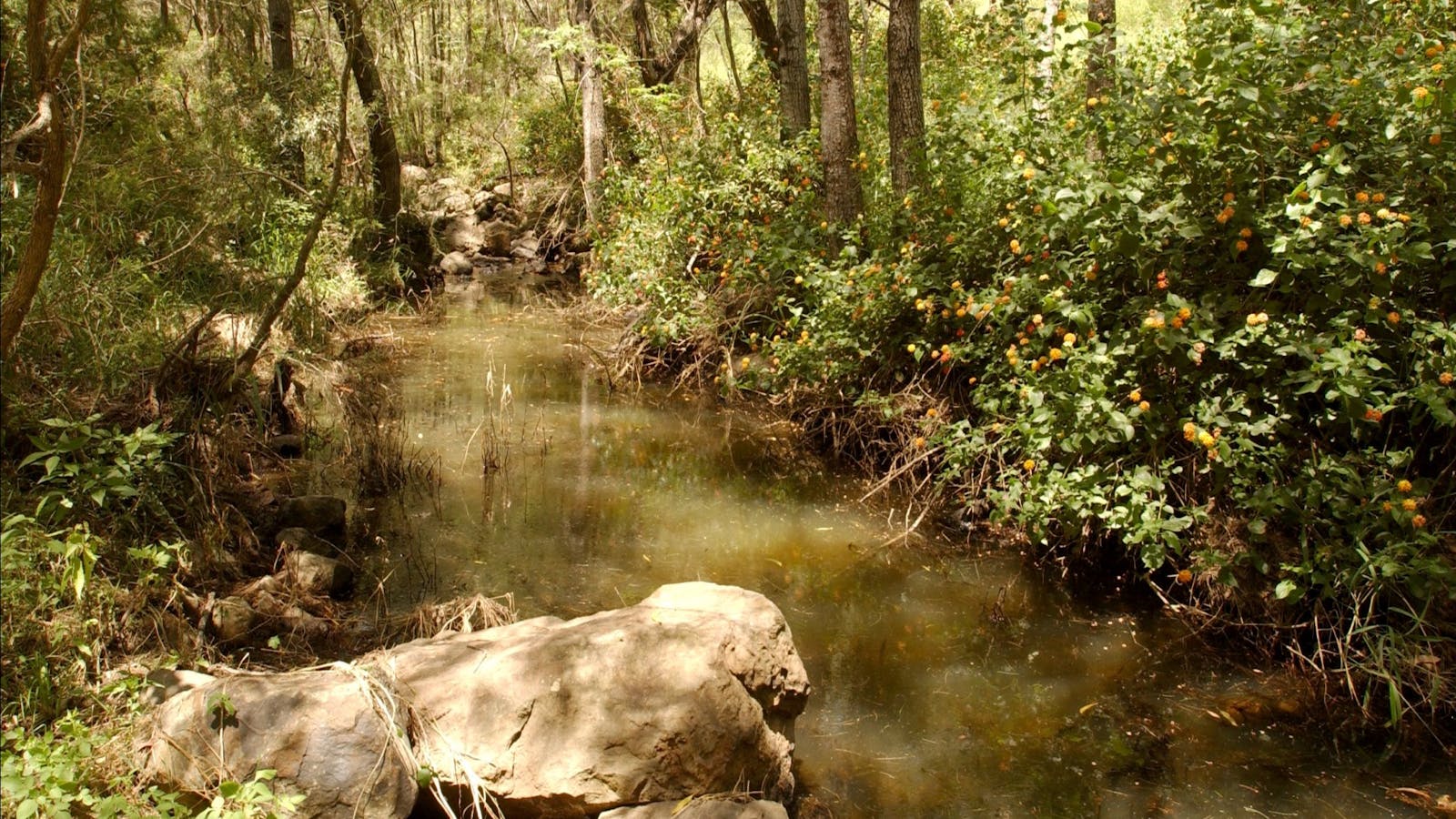 Flinders-Goolman Conservation Estate