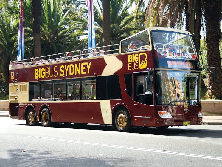 city tour bus sydney