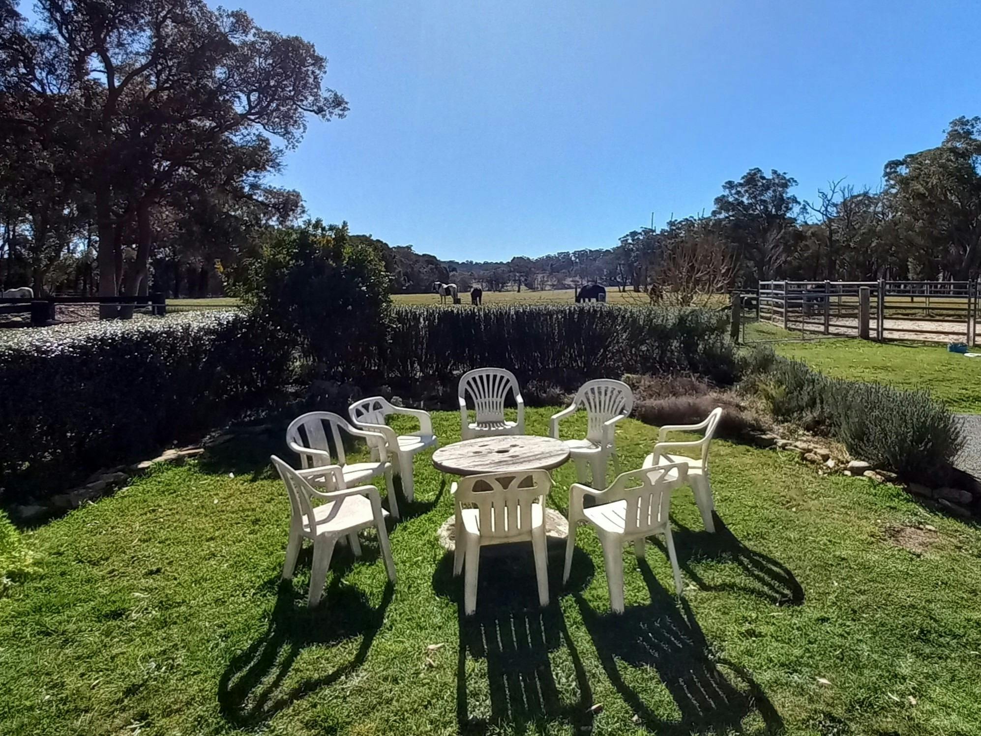 Garden at The Stables with views of horses , paddock and wildlife