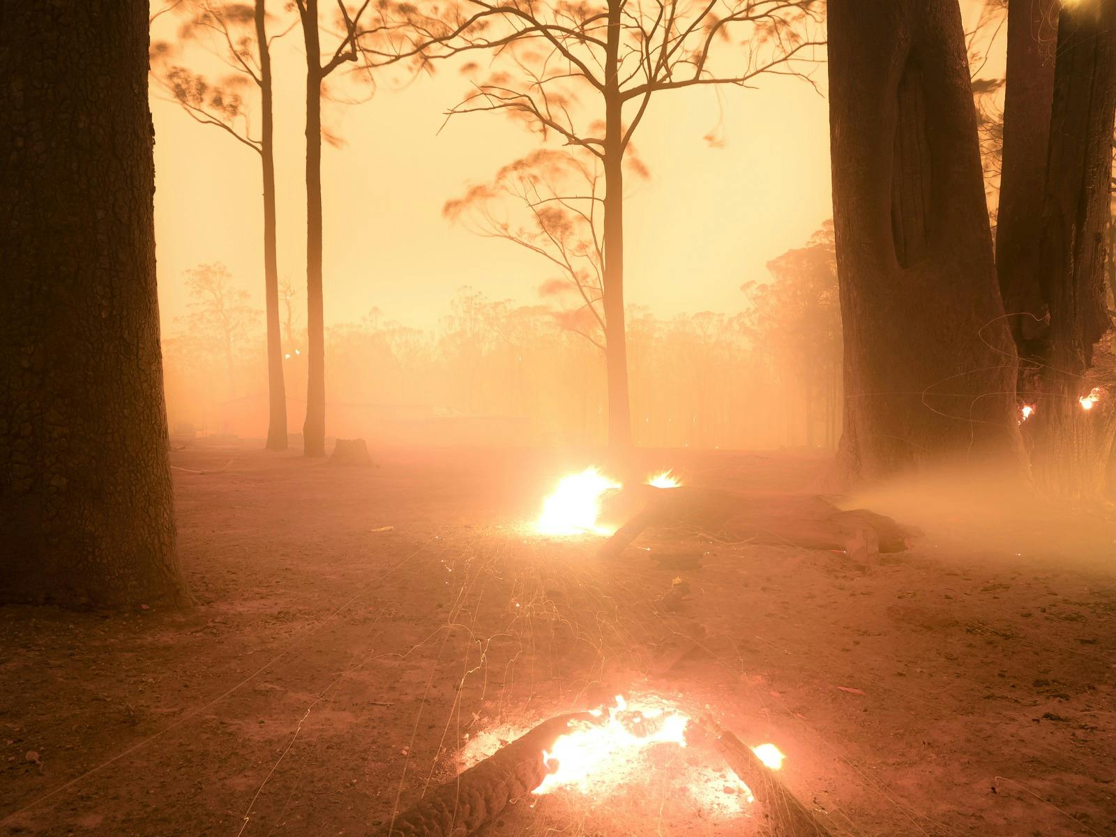 2023 – Overall Winner. My Country Burns (detail). Photographer: Samuel Markham.