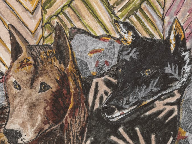 Wild Dog