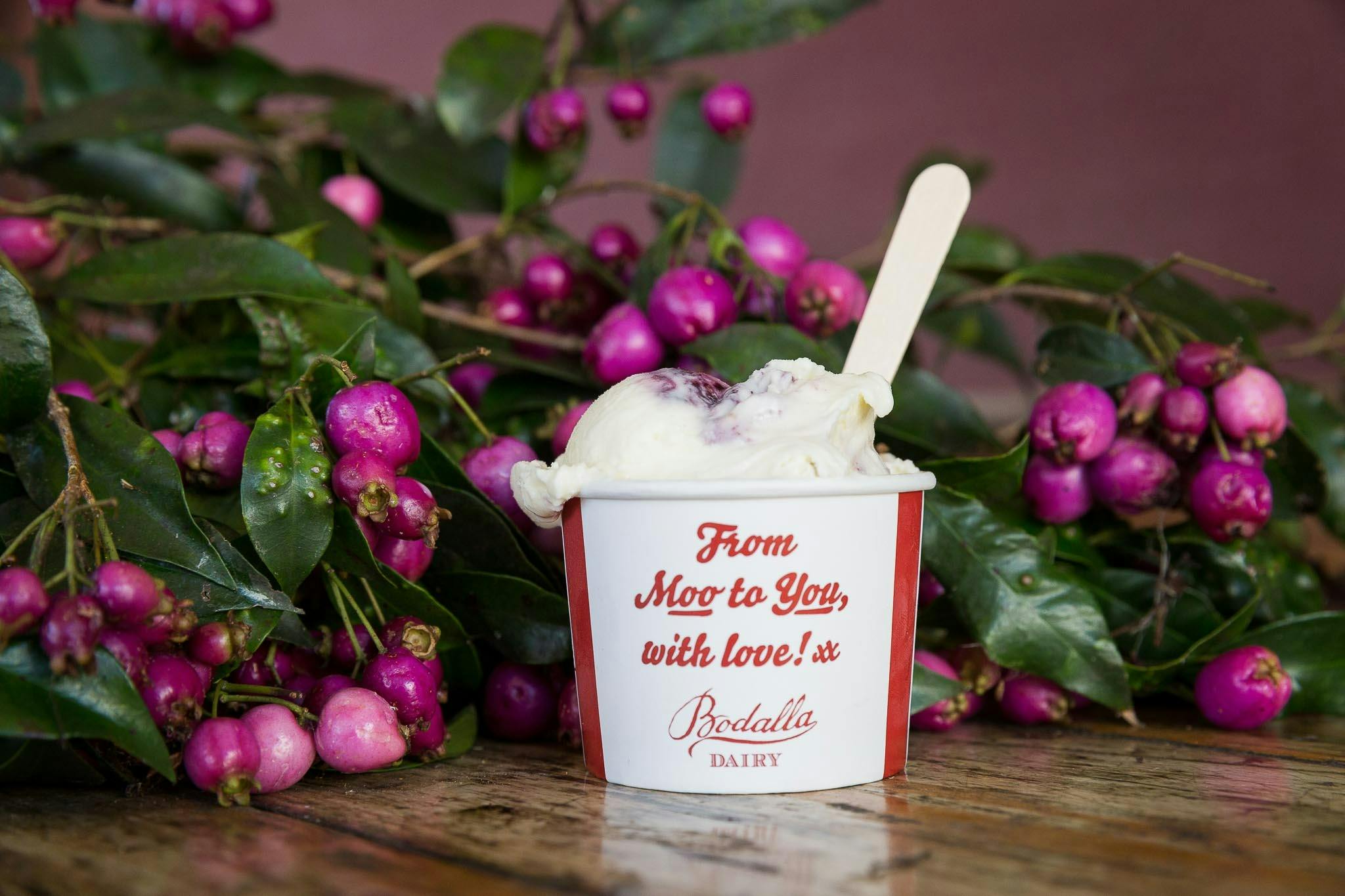 灌木莓芝士蛋糕