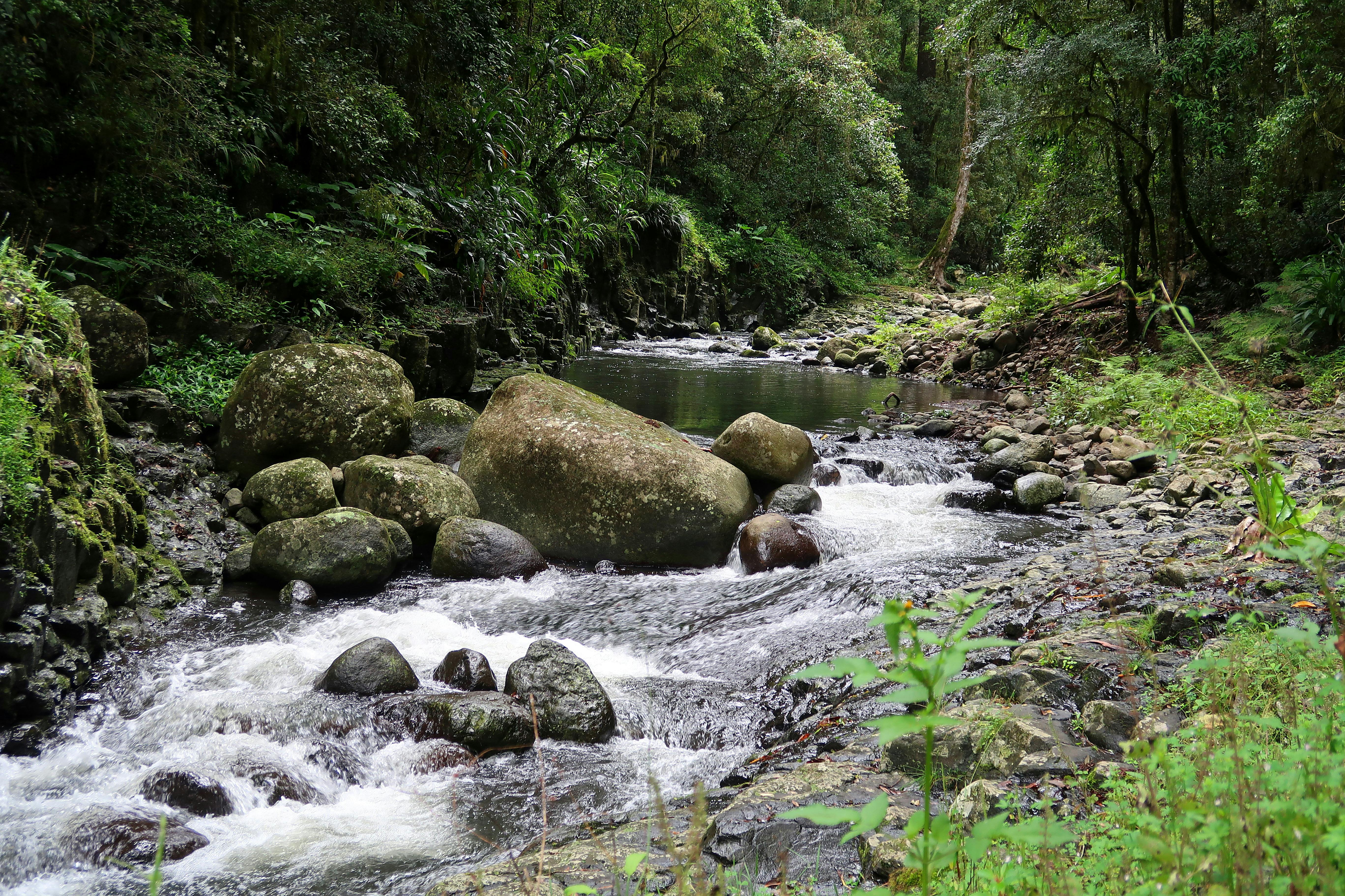 Beautiful waterfall in Lamington National Park