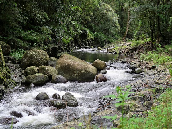 Beautiful waterfall in Lamington National Park