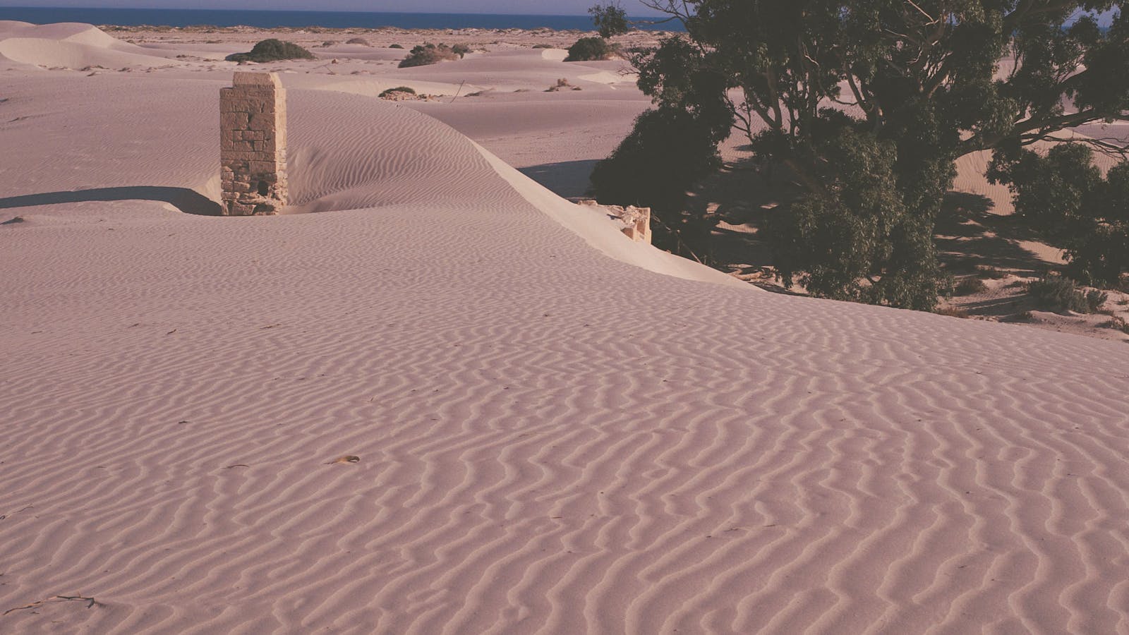 Nullarbor Plain