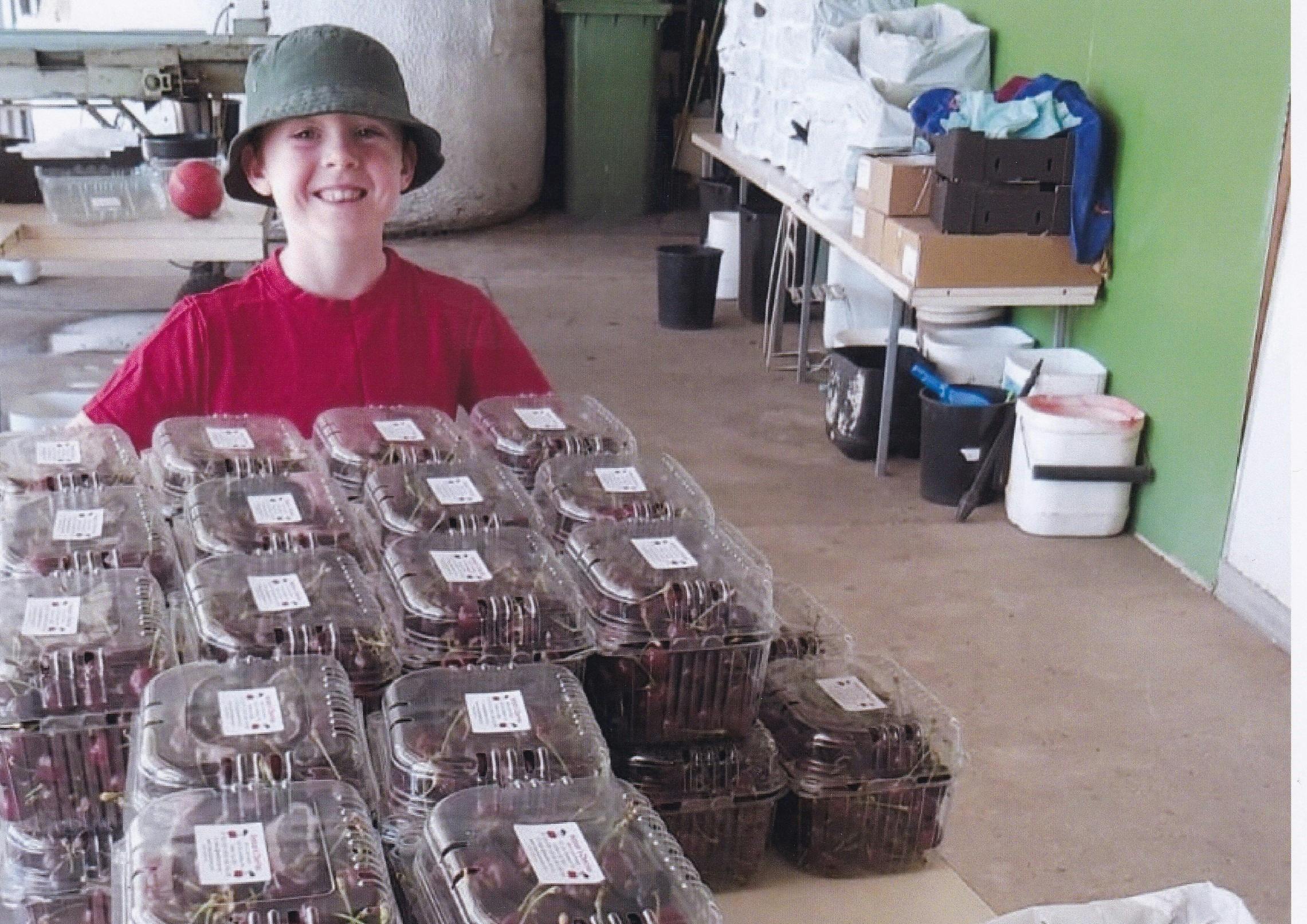Grandson Rory with trolley of cherry punnets. He has a red Tshirt  & green hat