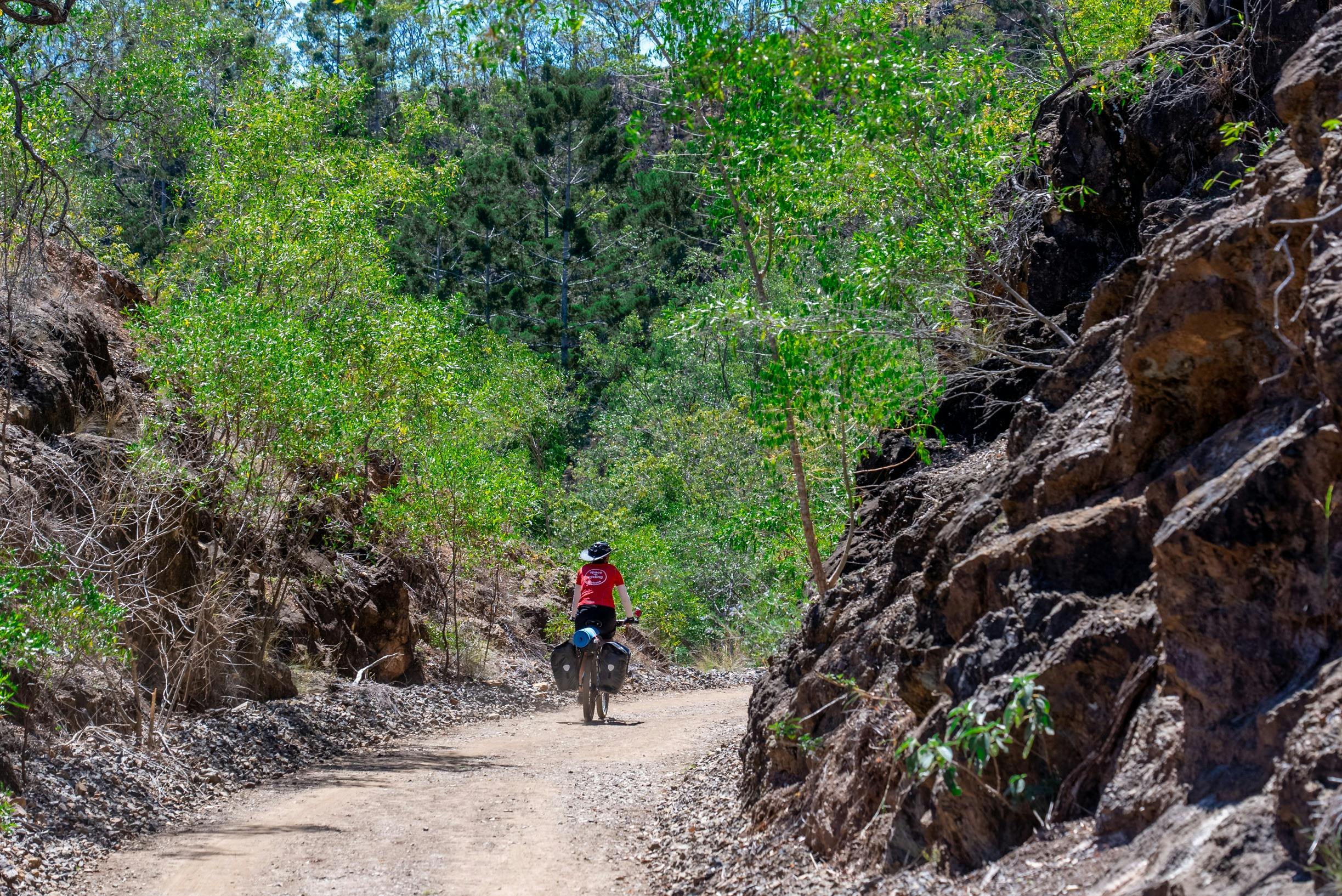 #gladstoneregiontours #gladstoneregion #southerngreatbarrierreef #thisisqueensland #seeaustralia