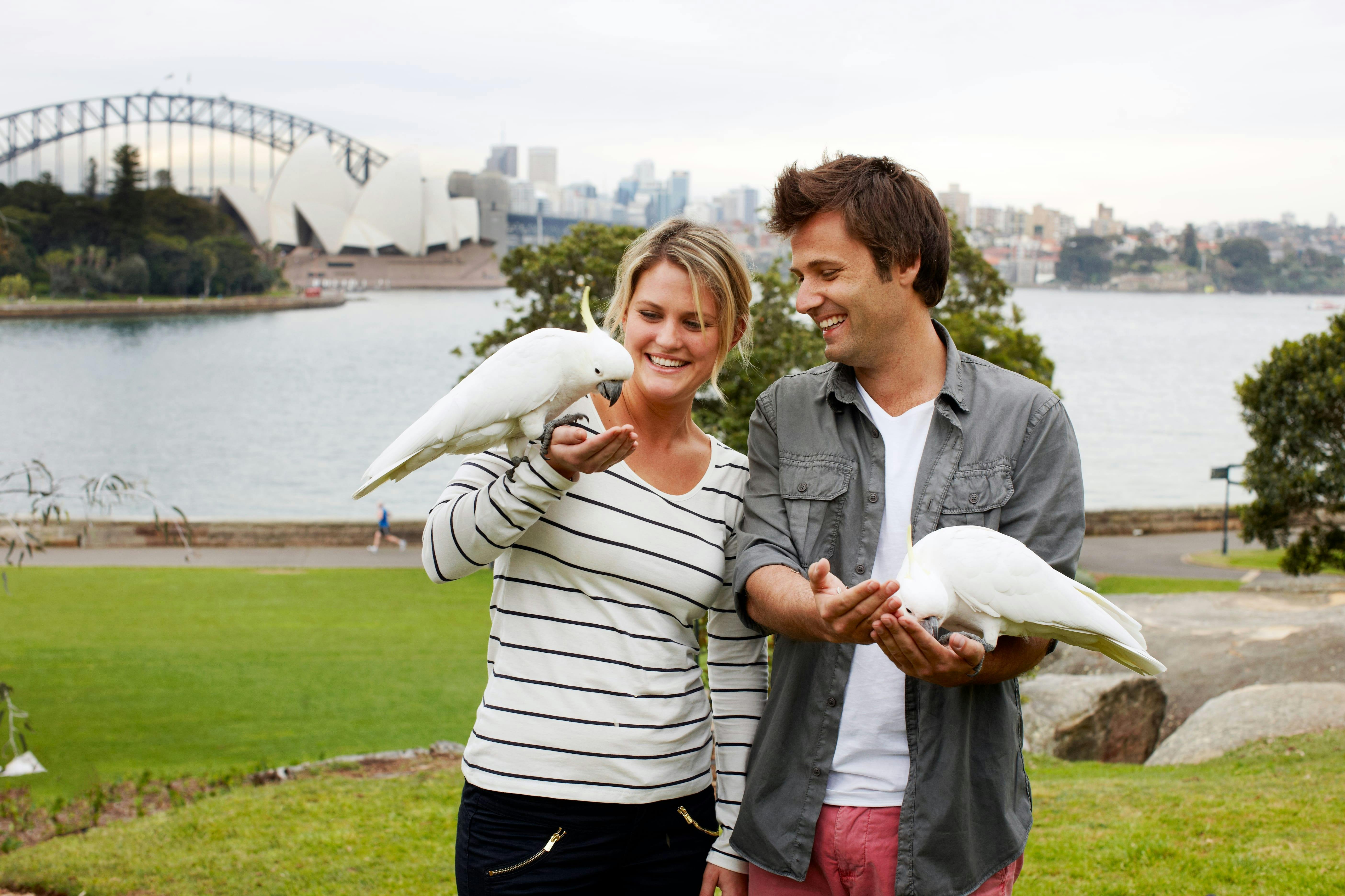 Private Sydney City Tour
