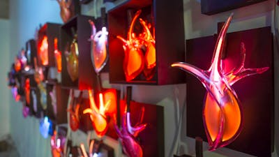 Harriet Schwarzrock neon filled blown glass