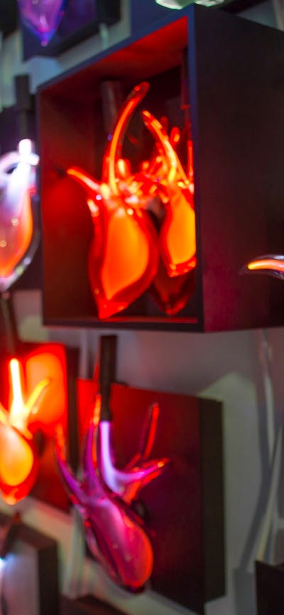 Harriet Schwarzrock neon filled blown glass