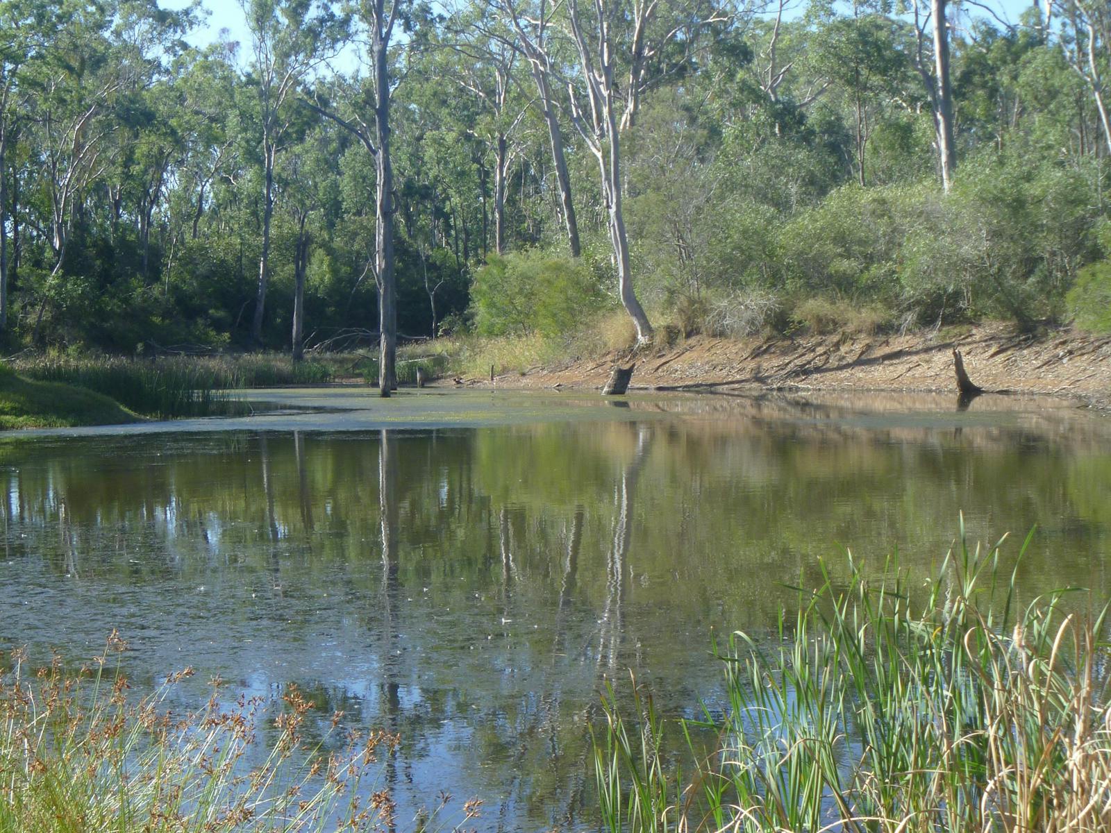 Nanango Fauna Reserve