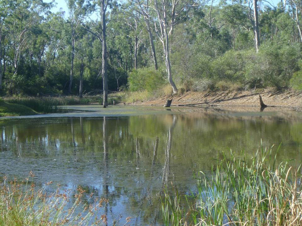 Creek at the Reserve