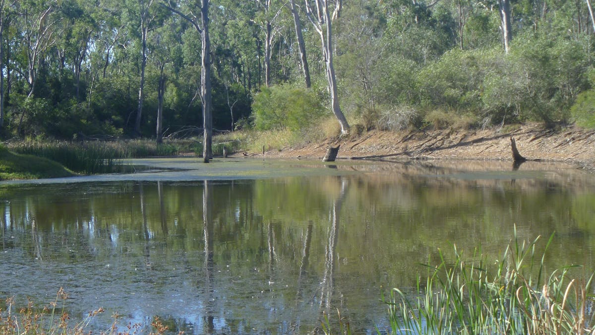 Nanango Fauna Reserve
