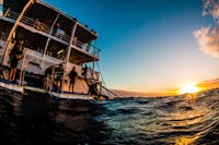 Reef Encounter Dive Deck Sunrise on the Great Barrier Reef