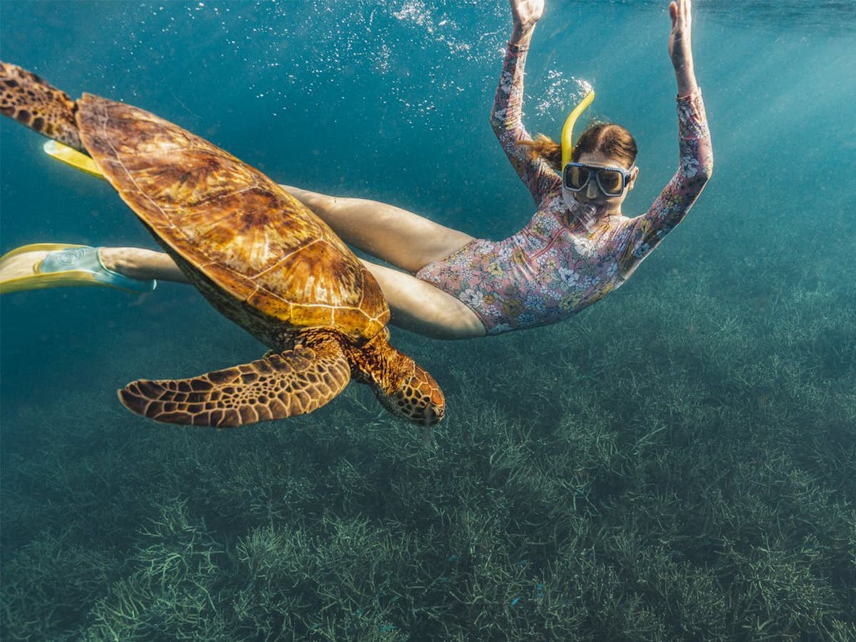 Heron Island