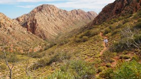 Trekking the Larapinta Trail