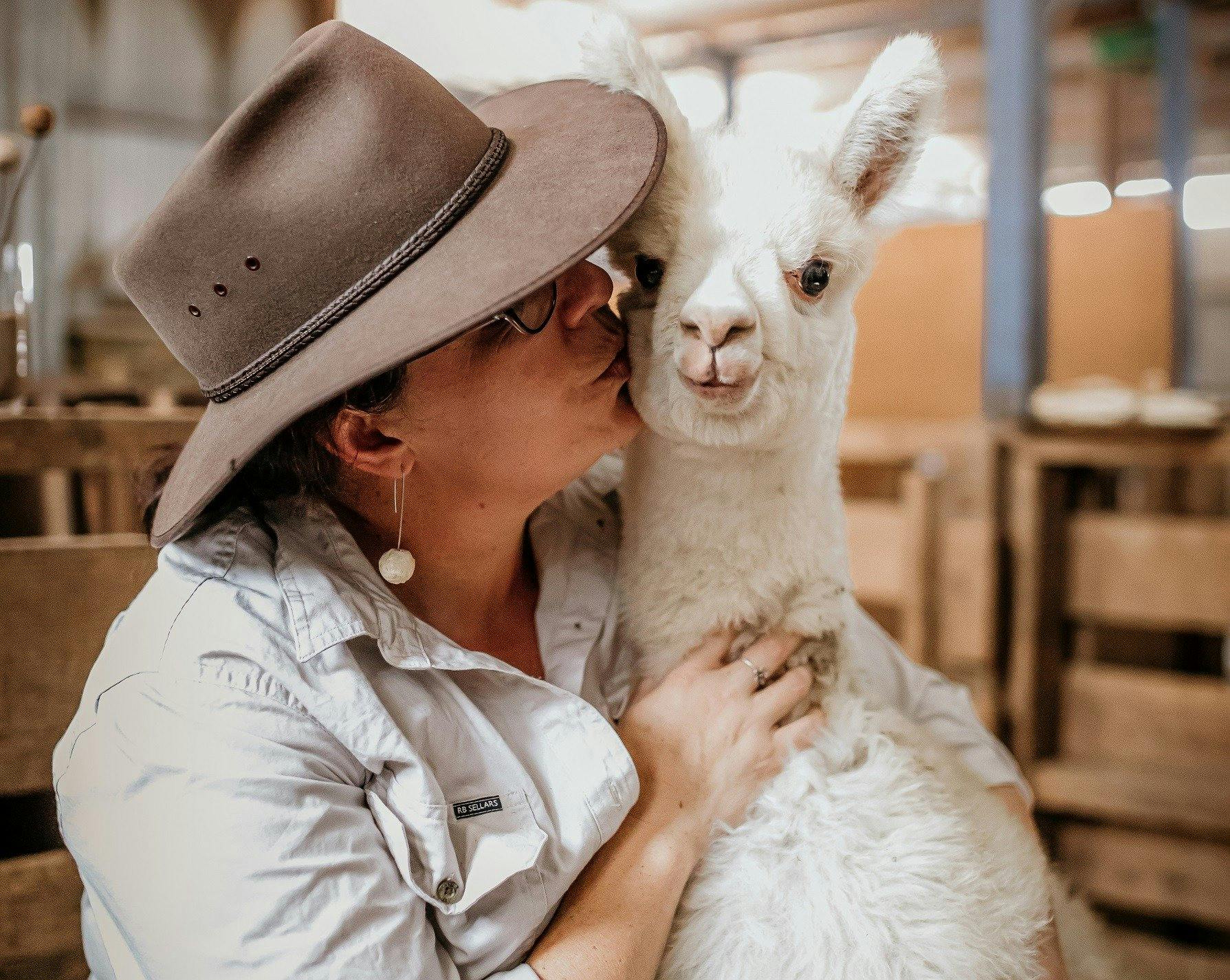 Quentin Park Alpacas and Studio Gallery