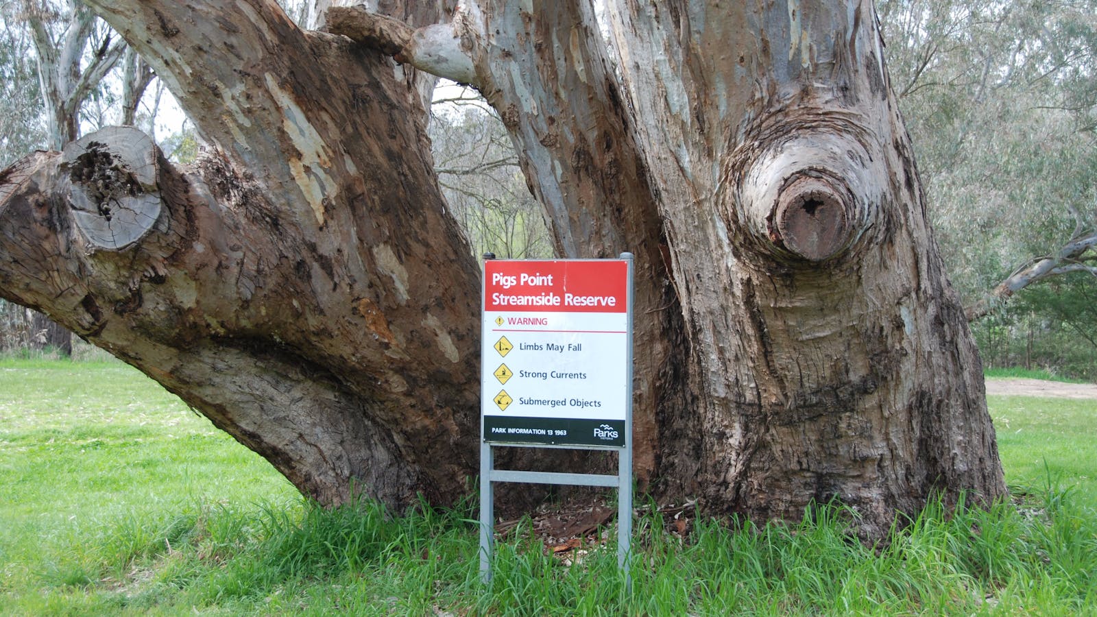 Pigs Point Streamside Reserve
