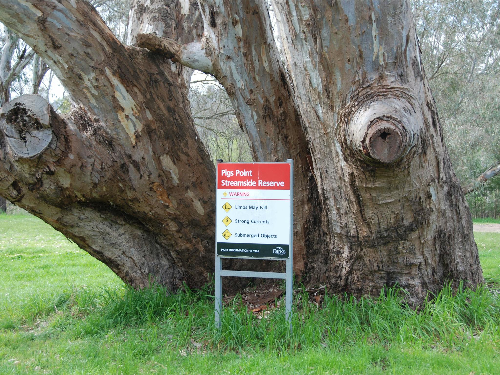 Pigs Point Streamside Reserve