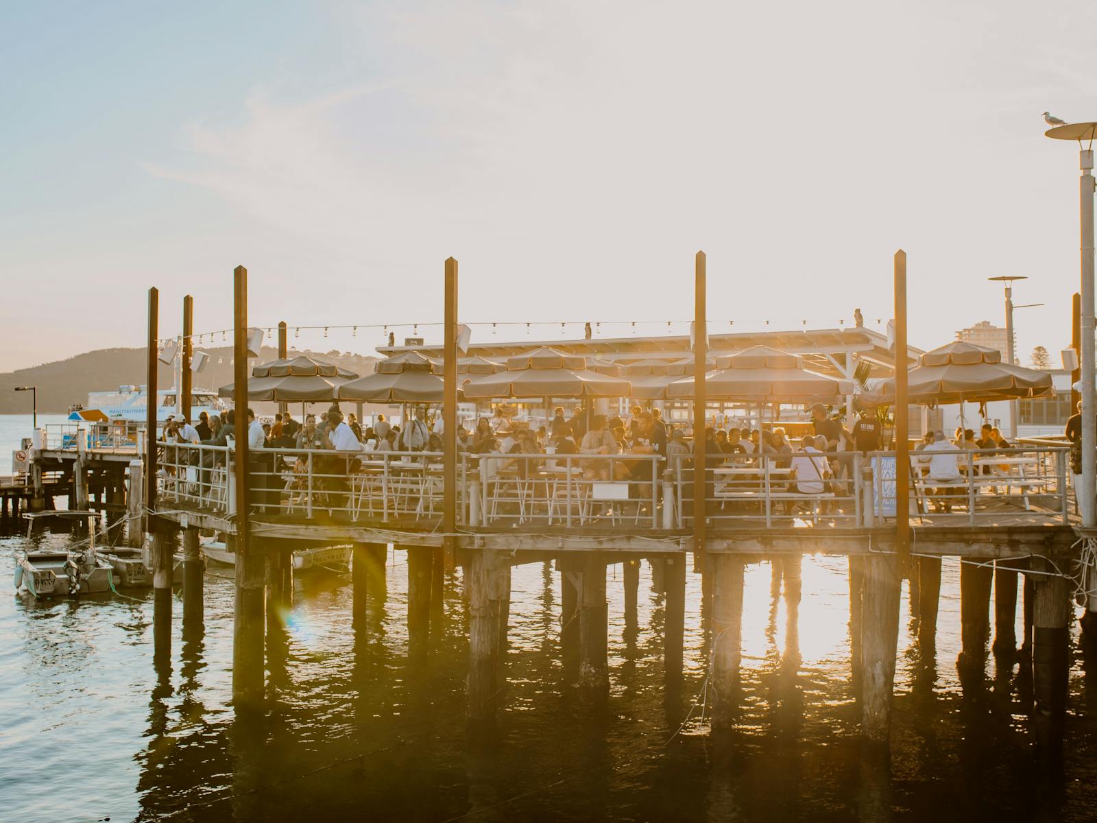 Felons Brewing Co Manly