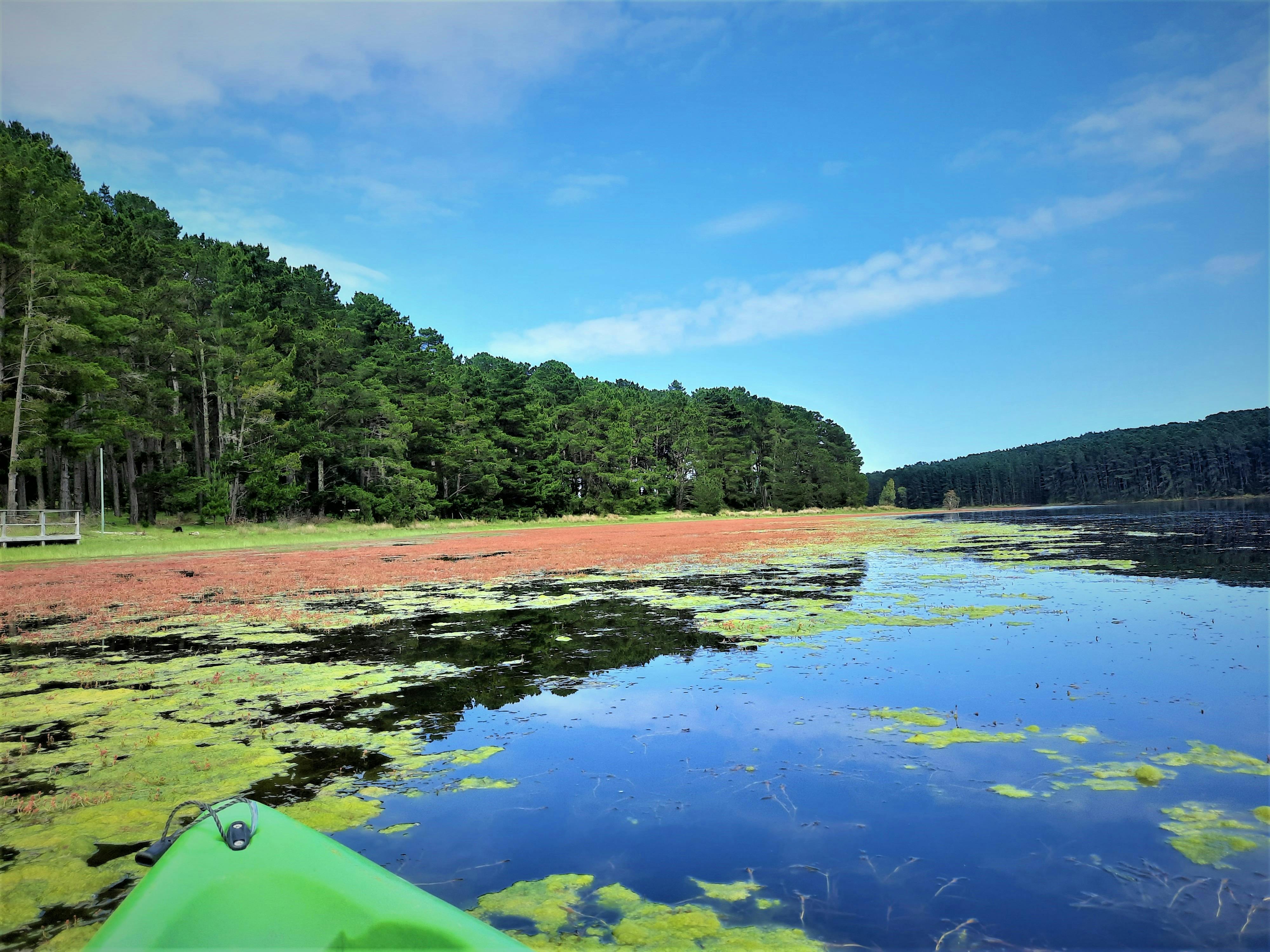 Scenic views from your kayak on Myponga Reservoir