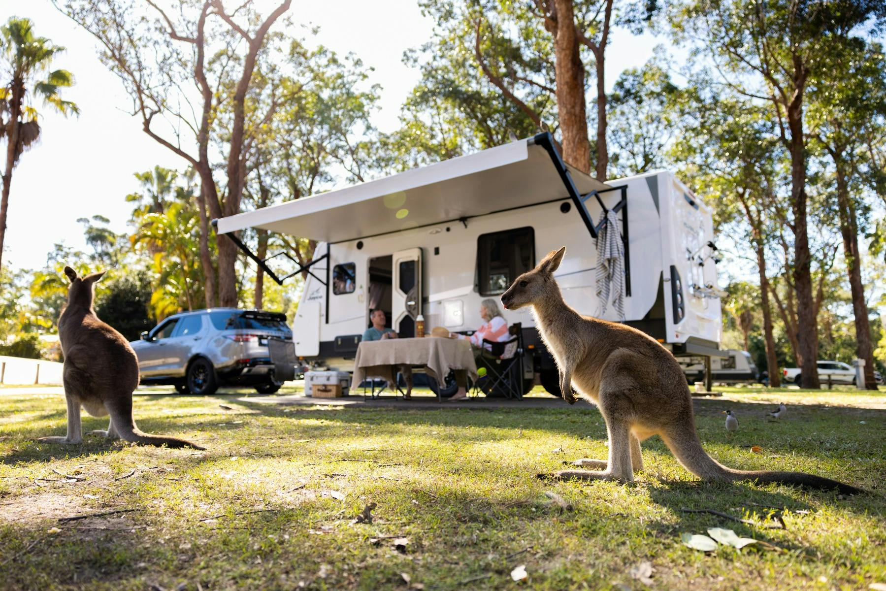 NRMA Darlington Beach Holiday Resort