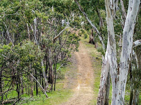 Montacute Conservation Park - Montacute, Attraction | South Australia