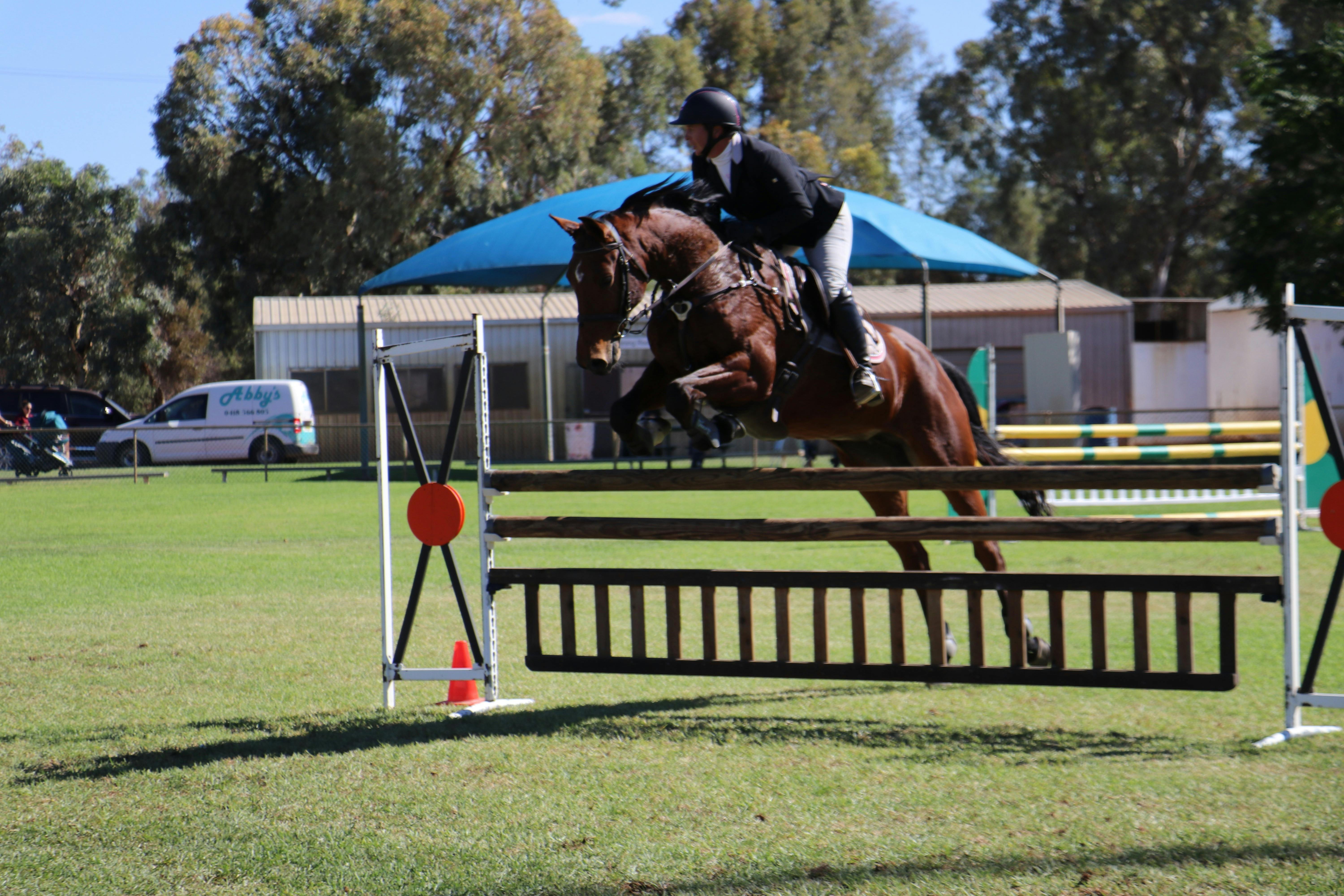 Cobar Show