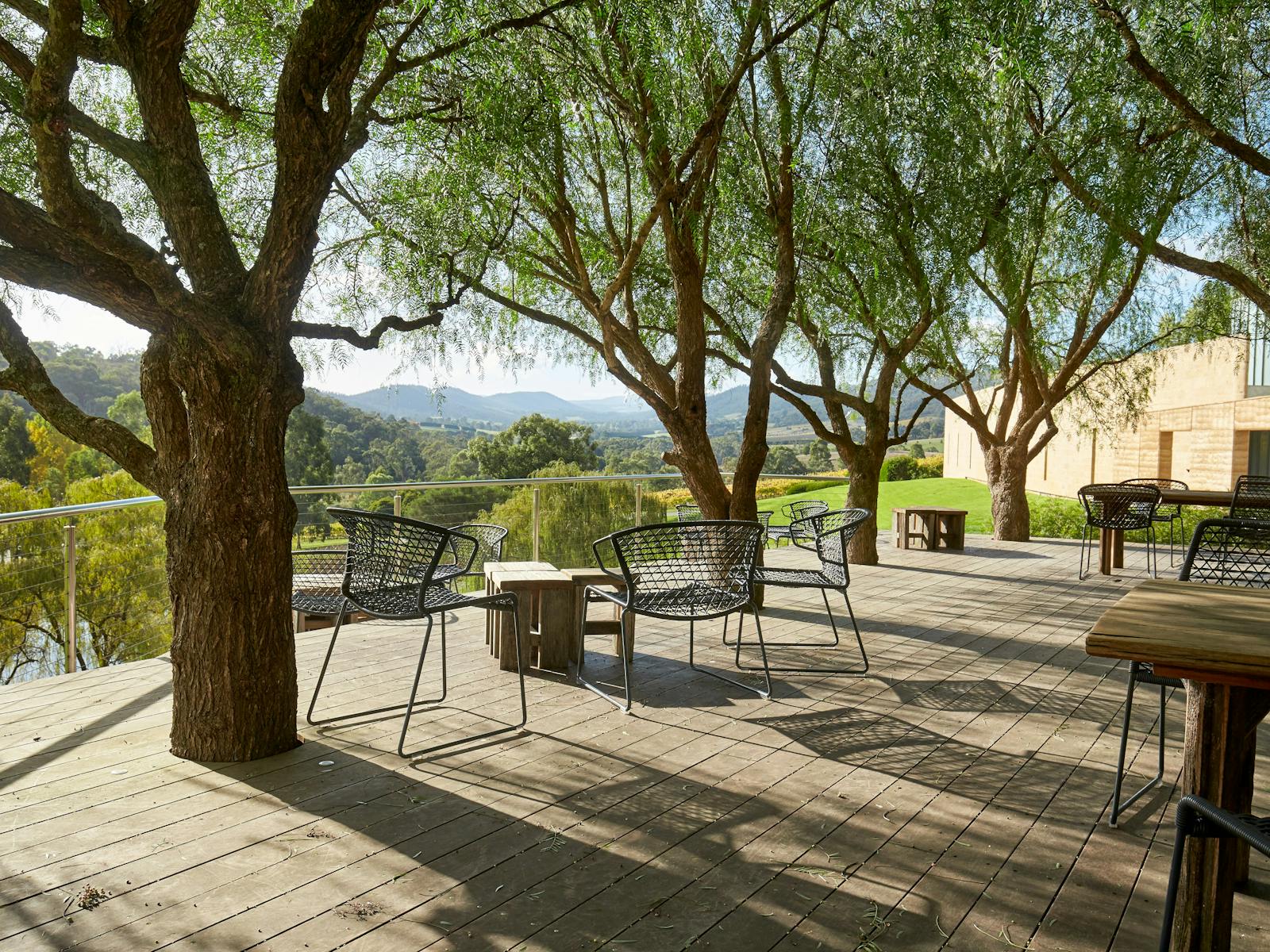 TarraWarra Estate