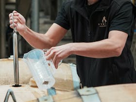Barrel extraction