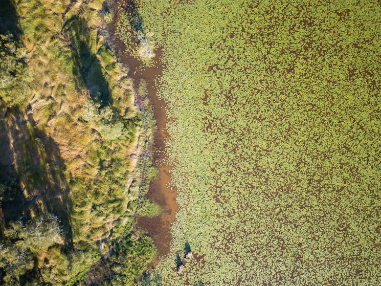 Aerial photo of cycling, Everlasting Swamp National Park