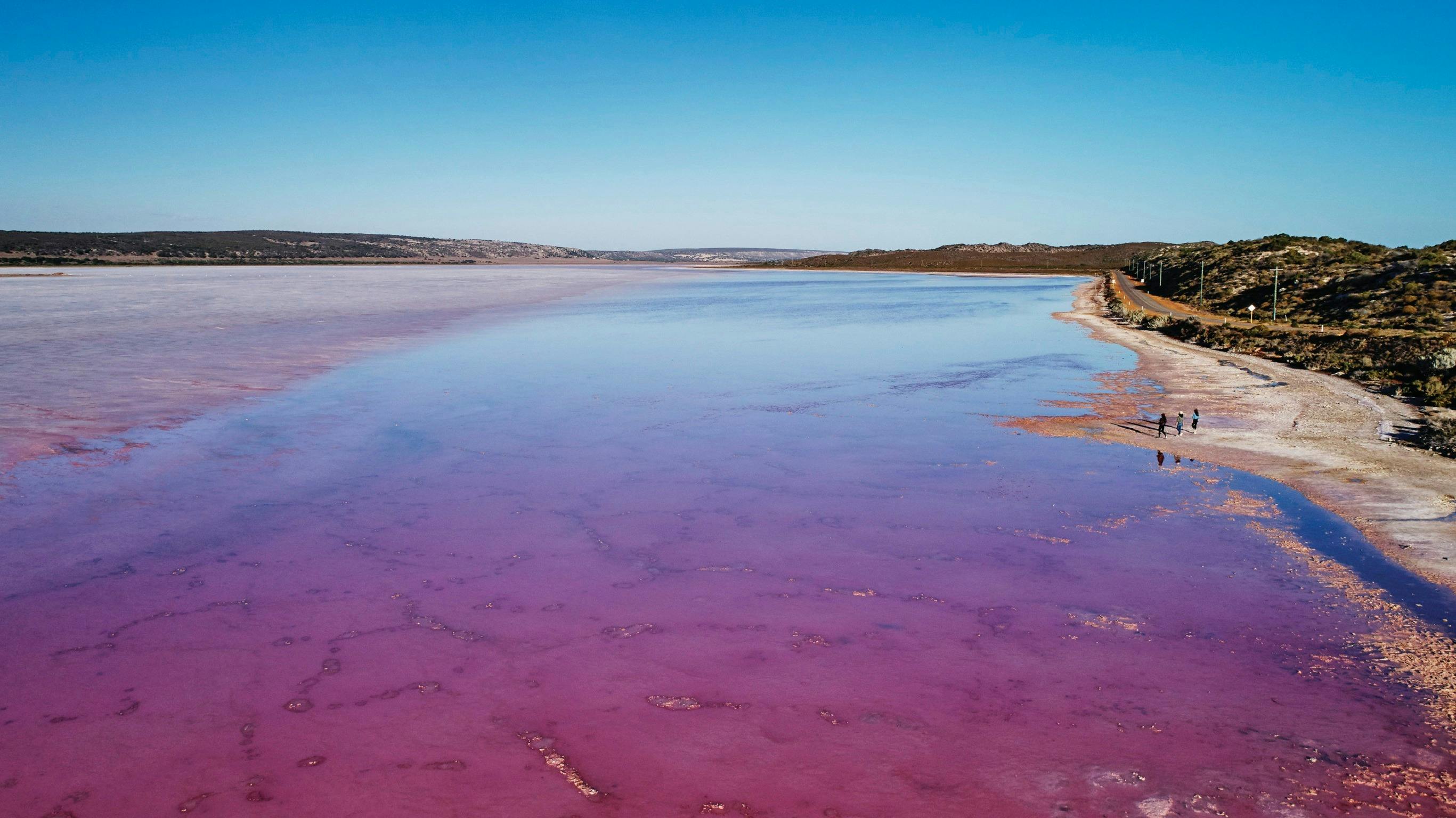 Northern Explorer Wildflower Trail, Port Gregory, Western Australia
