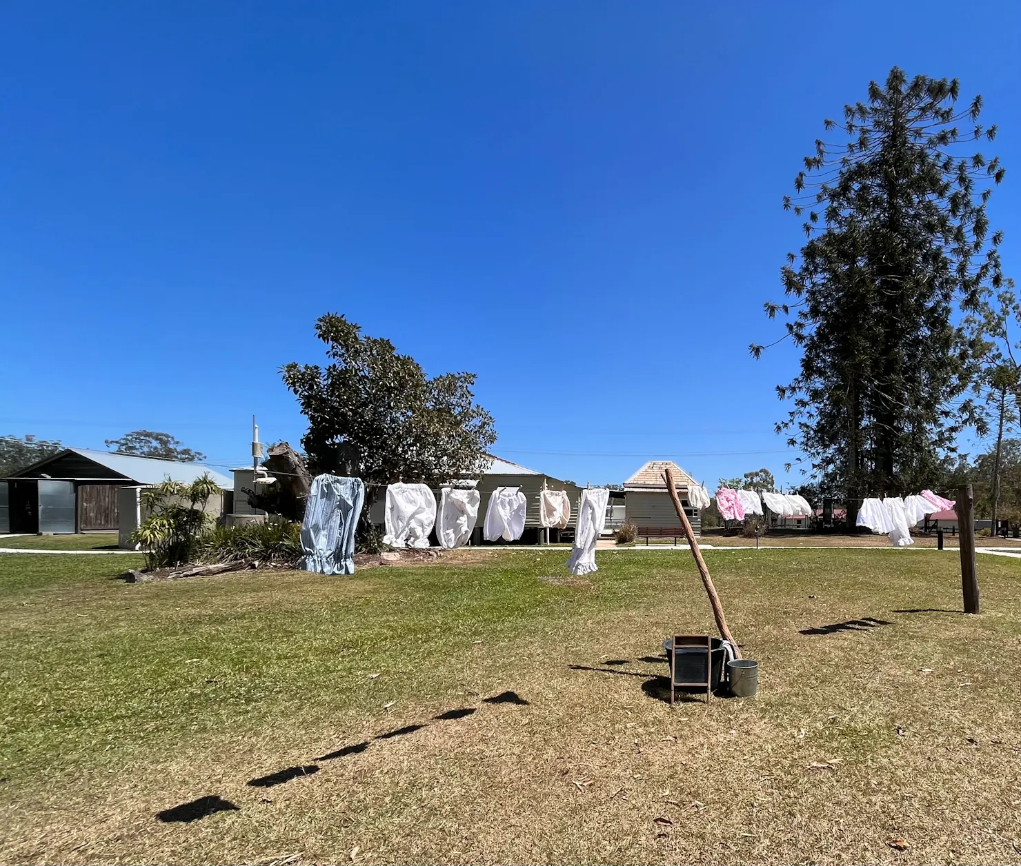 wash day