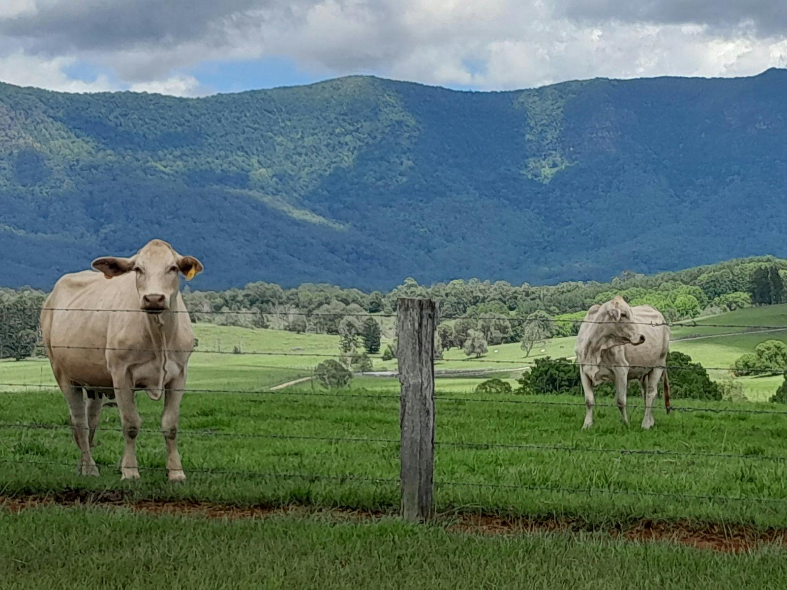 Discover the Northern Rivers by bike.