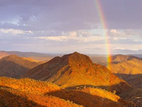 Experience the cinematic magic of a desert rainbow with Focused Expeditions.