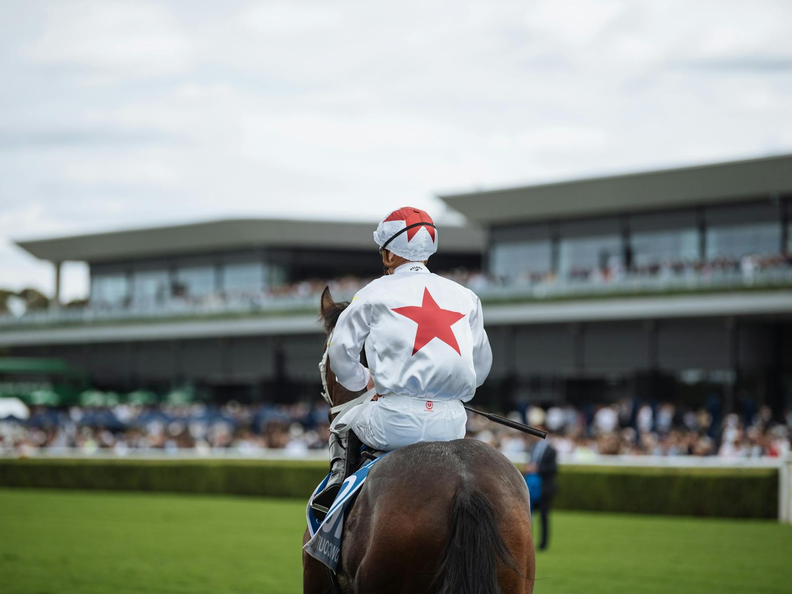 Horse at event